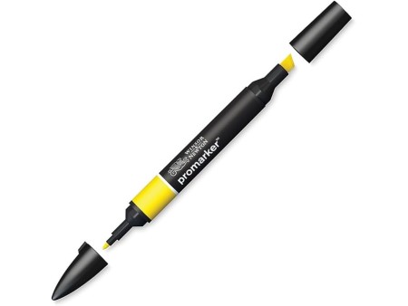 Winsor & Newton 0203166 - Pennarello a Doppia Punta , Arancione (Canary), 3.5x19.5x1.4 cm