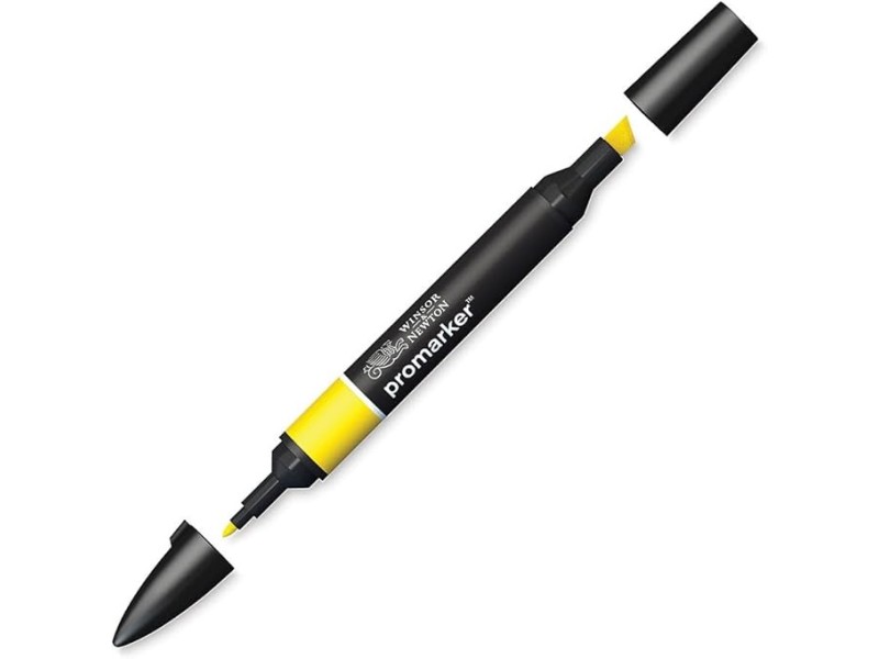 Winsor & Newton 0203166 - Pennarello a Doppia Punta , Arancione (Canary), 3.5x19.5x1.4 cm