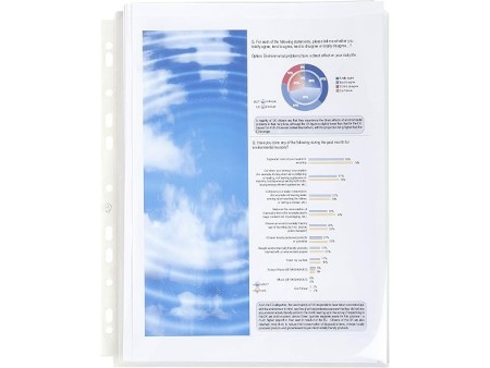 Exacompta 5507E Buste, 30 x 24.50 x 1.50 cm, Cristal