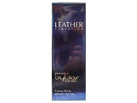 BYBLOS LEATHER S/G 2 IN 1 400ML