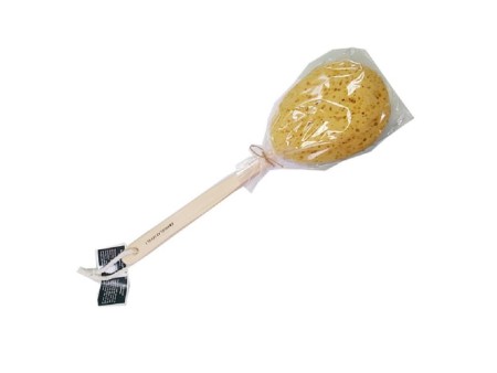 BIFFOLI SPUGNA MANICO SCHIENA